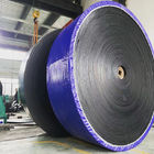 UCER Bandwidth 300mm Black Nylon Conveyor Belts