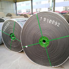 EP150 Paper Mills Chemical Resistant Conveyor Belt 700mm Width