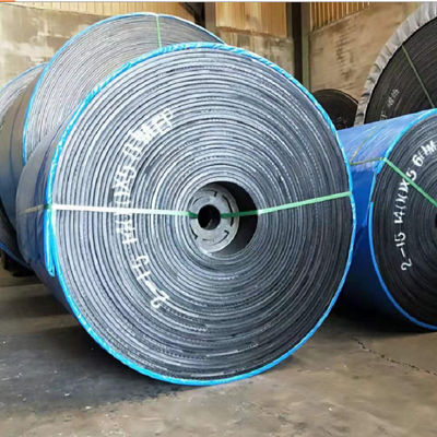Buy Heat Resistant Special Conveyor Belts ST1600 online manufacture
