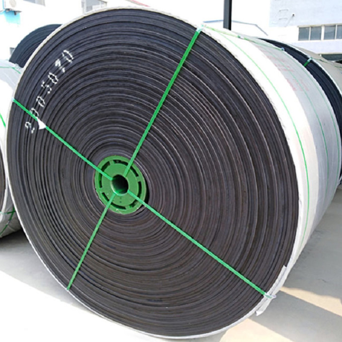 EP100 EP200 Special Conveyor Belts Chemical Resistant W700mm