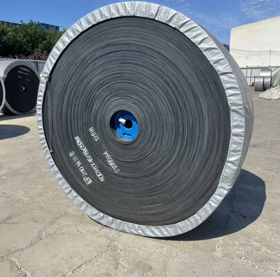 EP100 EP200 Special Conveyor Belts Chemical Resistant W700mm
